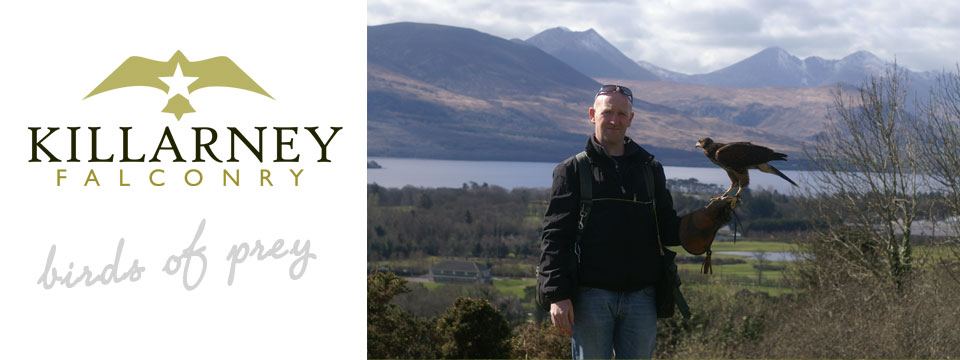 falconry Killarney Co.Kerry